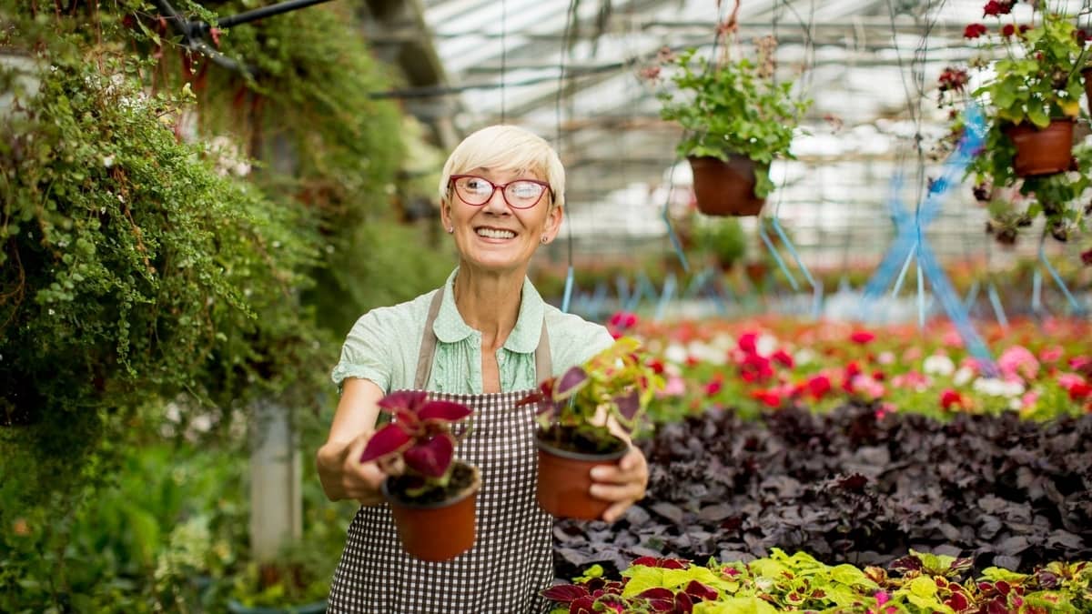 Best Gardening Club Ideas For Seniors