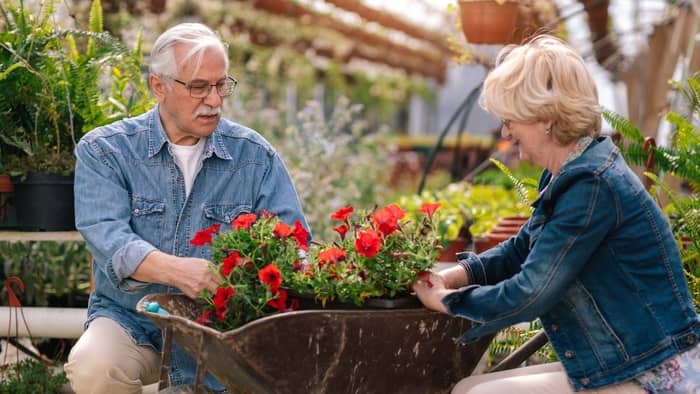 How can I make my elderly garden easier