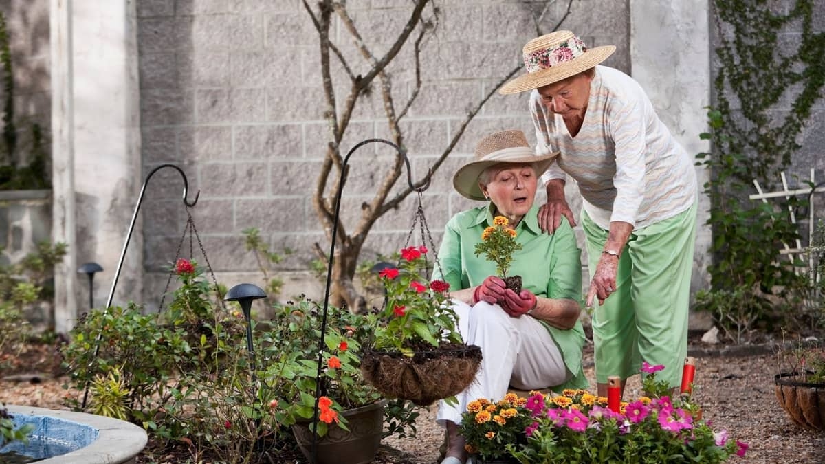 Top Reasons You Should Buy A Gardening Chair For Elderly