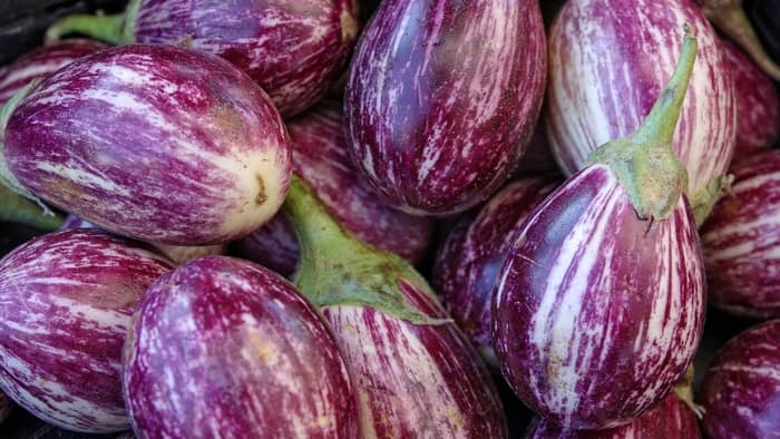Can you grow Japanese eggplant in containers