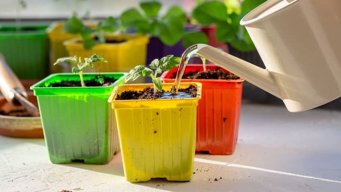 What plastic is safe for hydroponics