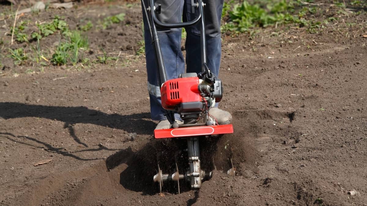 What Is A Cultivator Used For In Gardening - 5 Reasons You Must Own This Amazing Tool