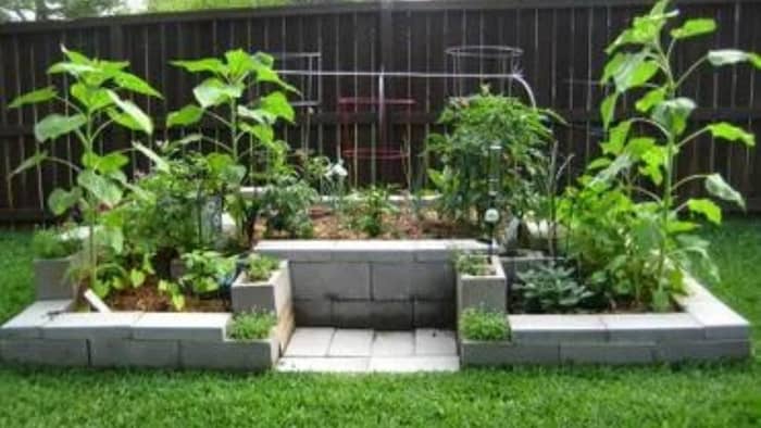  Are cinder blocks safe to grow vegetables in?