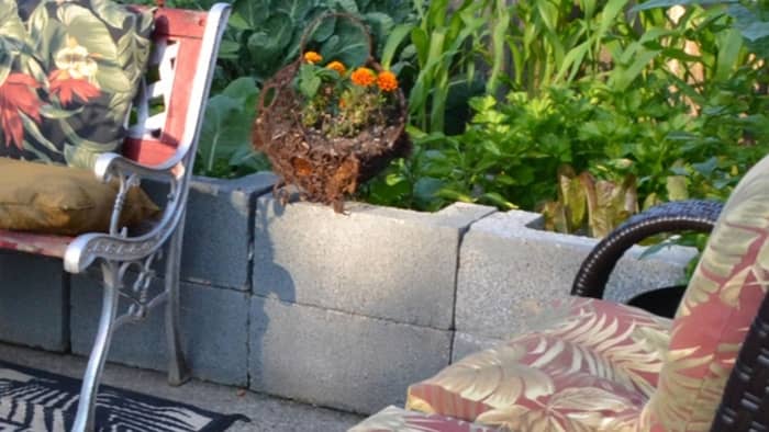  Can you use cinder blocks as planters?