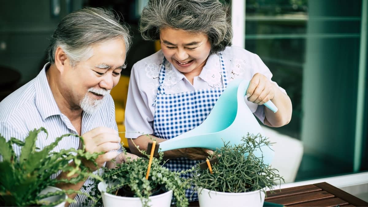 Gardening Stools For Elderly