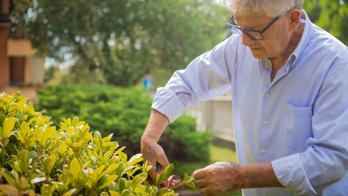 Gardening Tools For Older Adults