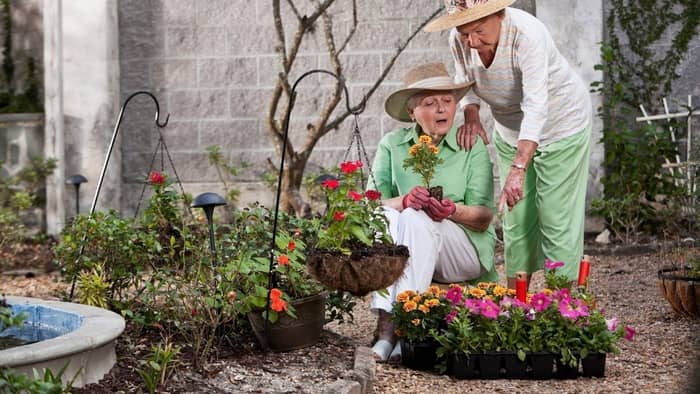  gardening stools for seniors
