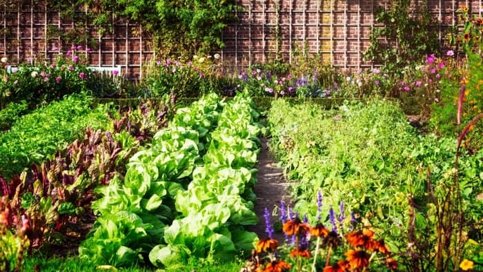  what states have the best soil for gardening