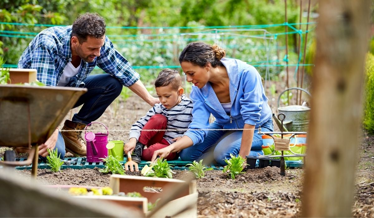 Backyard Gardening For A Profit It's Possible!