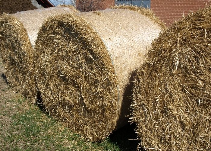  How do you tell the difference between a straw and a hay bale