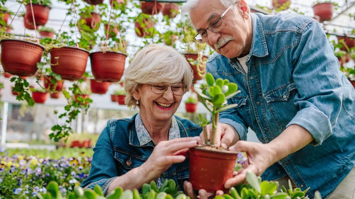 Ergonomic Gardening Tools For Seniors
