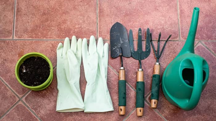  What are the basic tools that one needs in simple gardening?