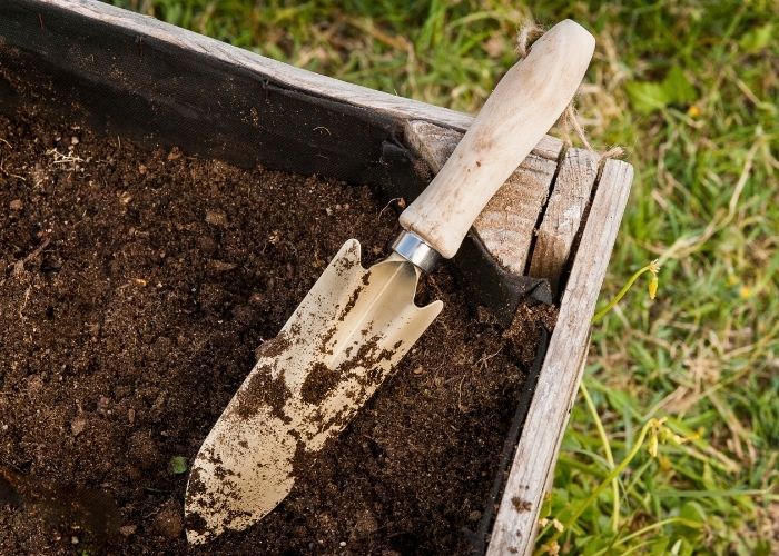  What is the best way to prepare soil for a vegetable garden