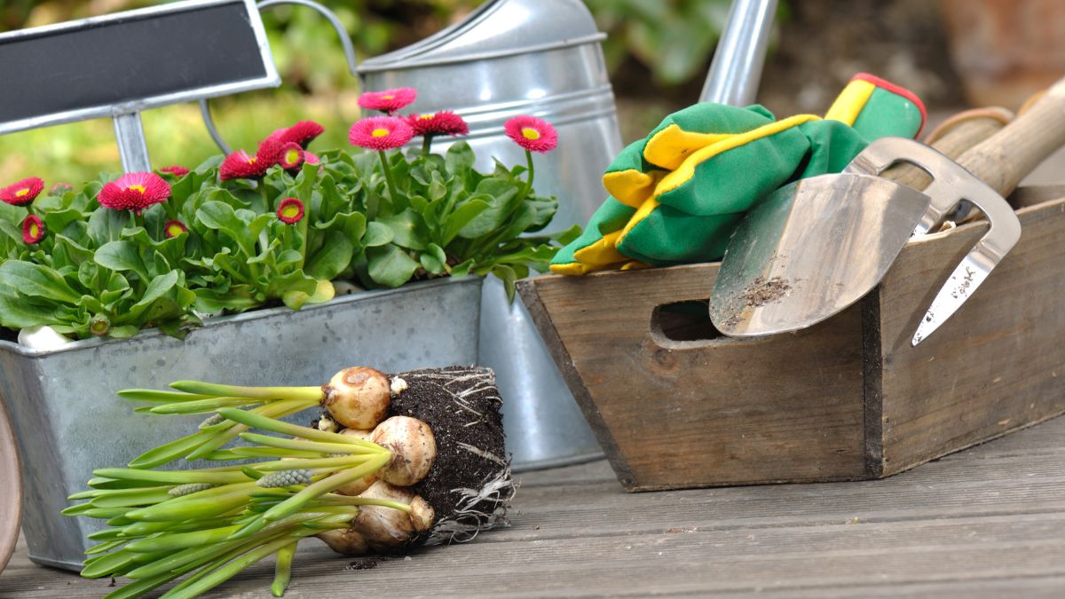 Gardening Tools For Planting Bulbs