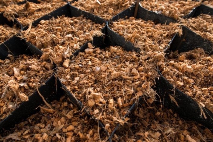 How To Use Coconut Coir For Gardening