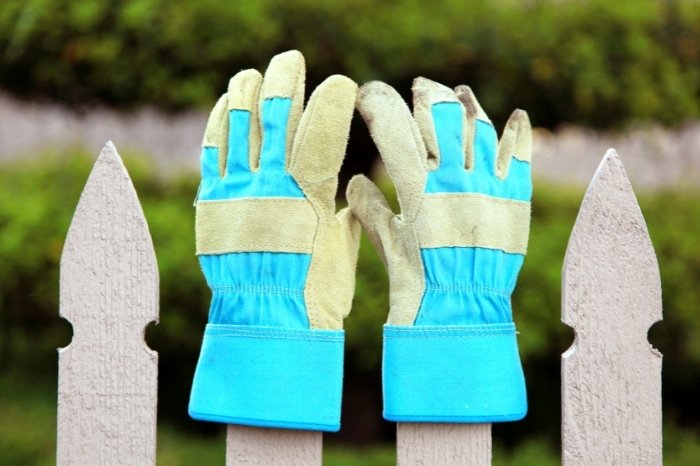 Tips When Buying Gardening Gloves