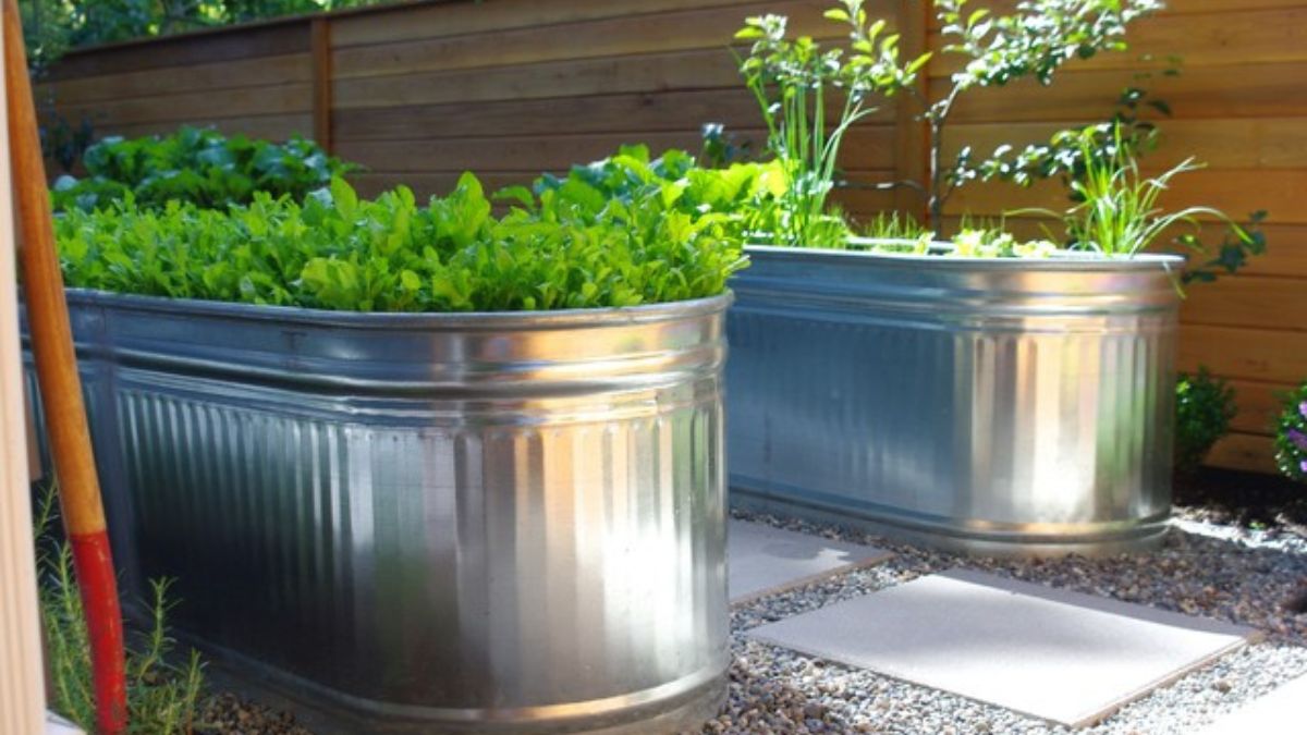Using Galvanized Stock Tanks For Gardening