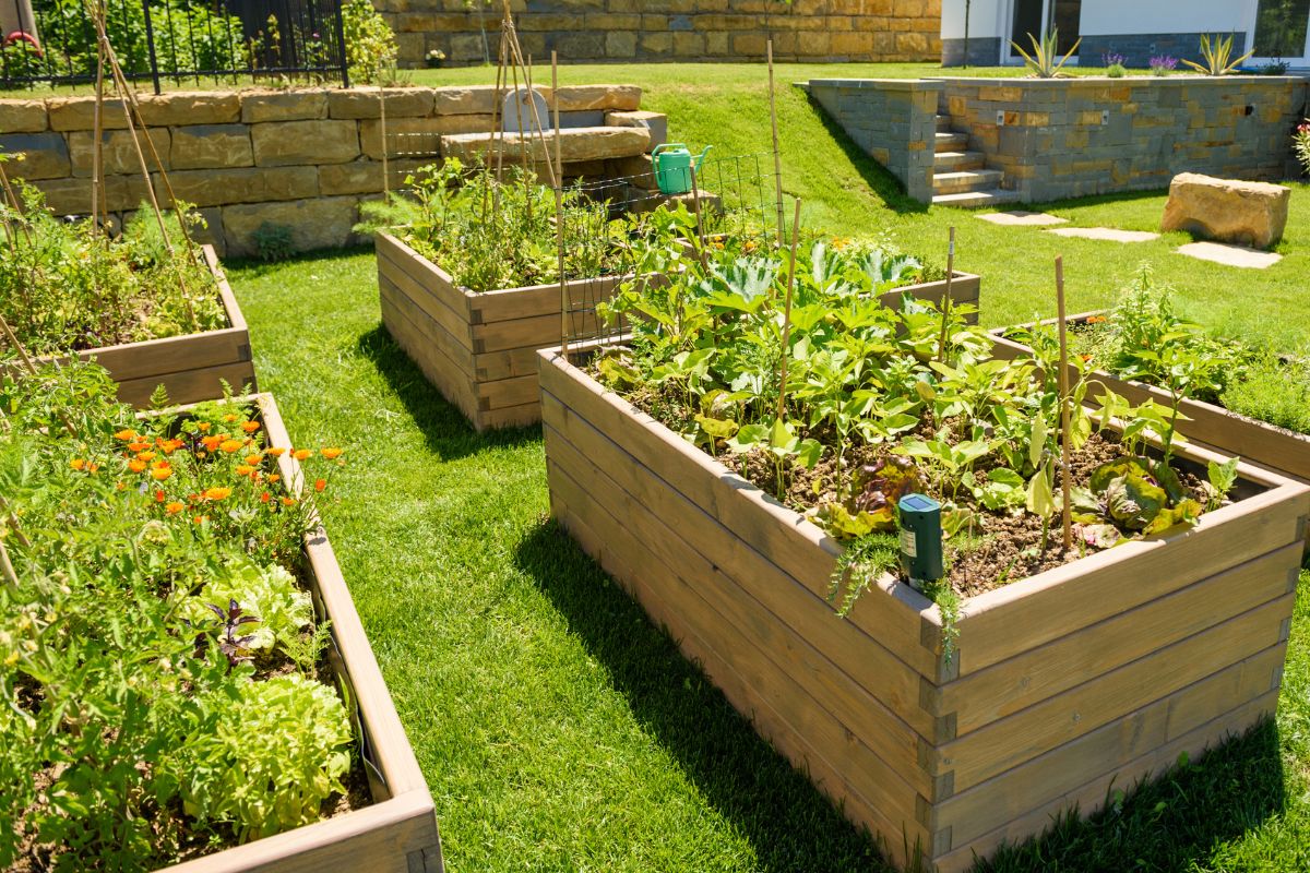 Safe Containers For Organic Gardening