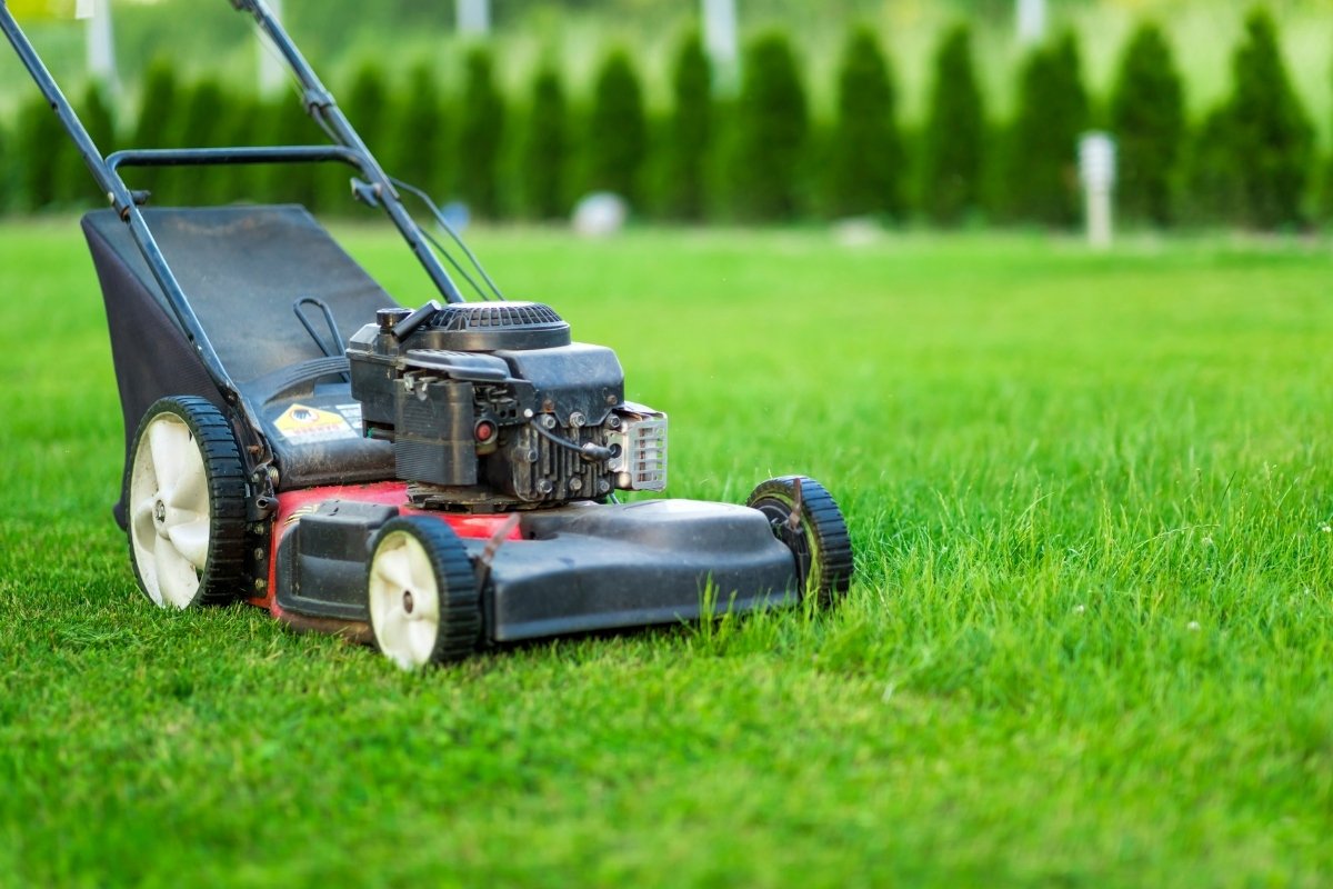 best lawn mower for gardening business
